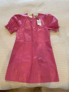 THML Hot Pink Short Puff Sleeve A-Line Dress